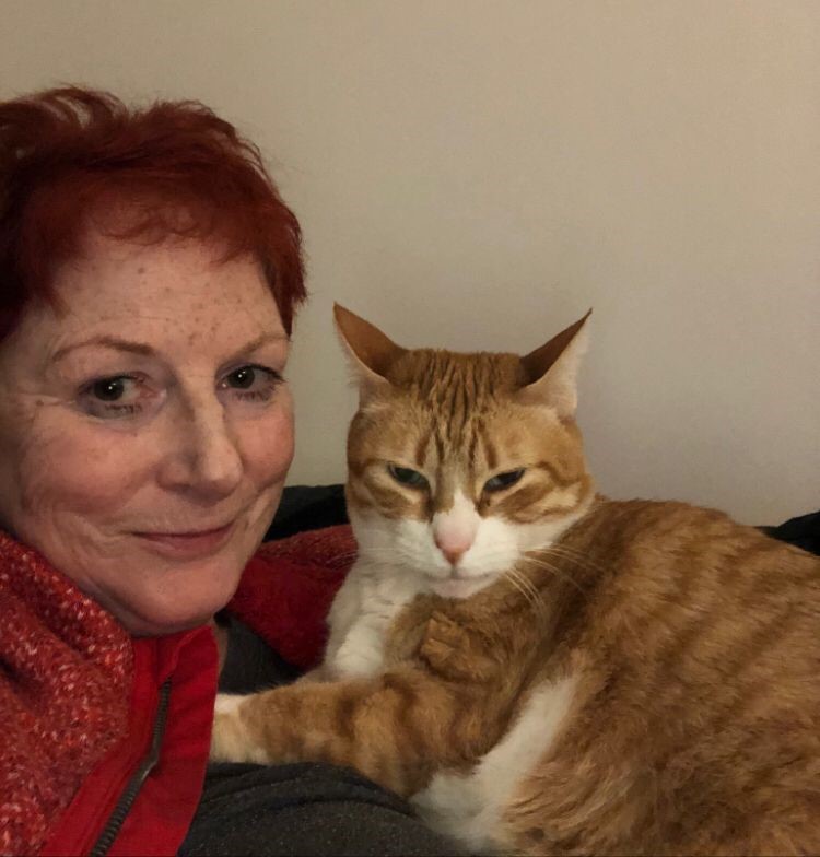 Katzensitterin Ulli